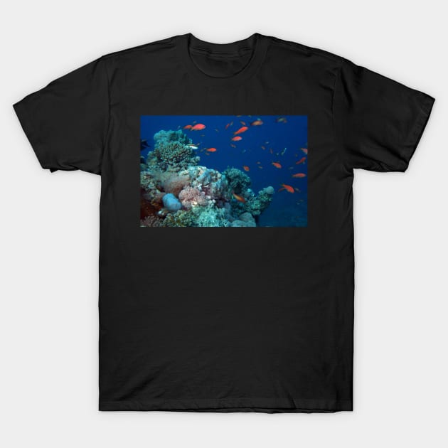 marine and aquatic life T-Shirt by likbatonboot